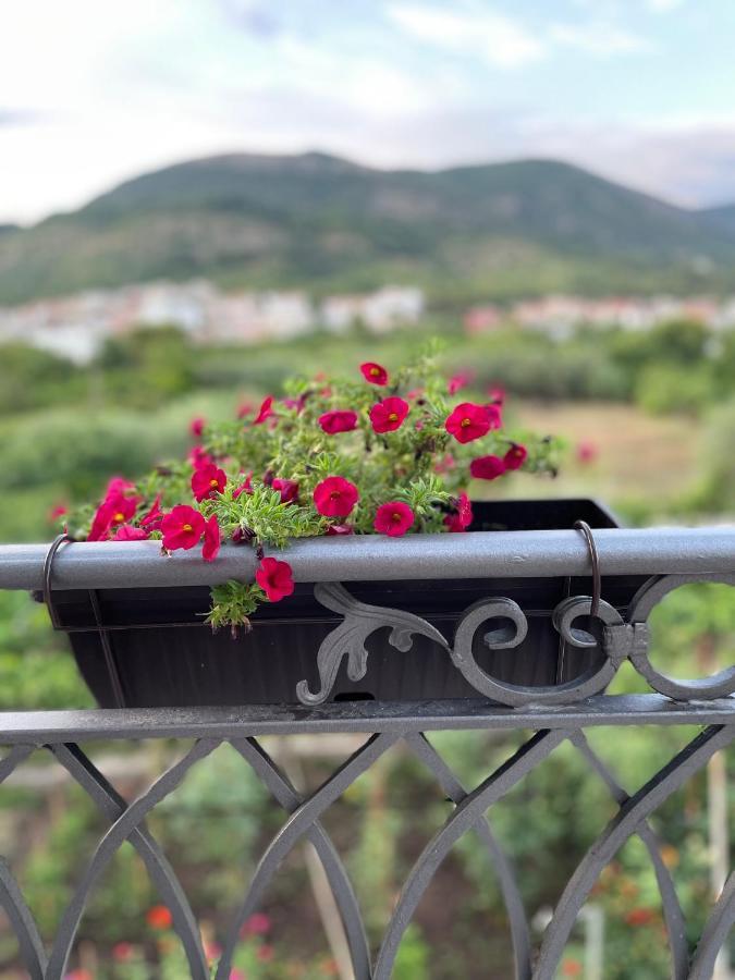 Apartmán Petivat Gardens Exteriér fotografie