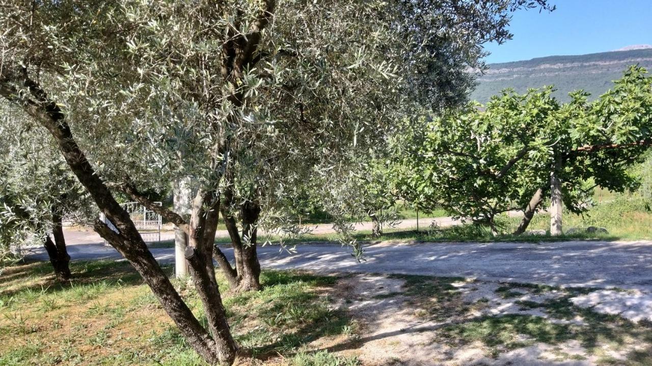 Apartmán Petivat Gardens Exteriér fotografie